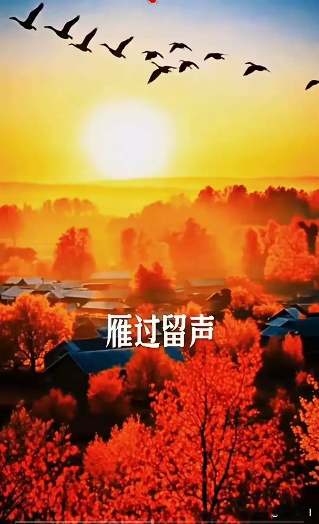 七绝《秋怀寄友》

秋意无声天转凉，
黄花暗送满庭香。
素笺寄得情千缕，
静递安