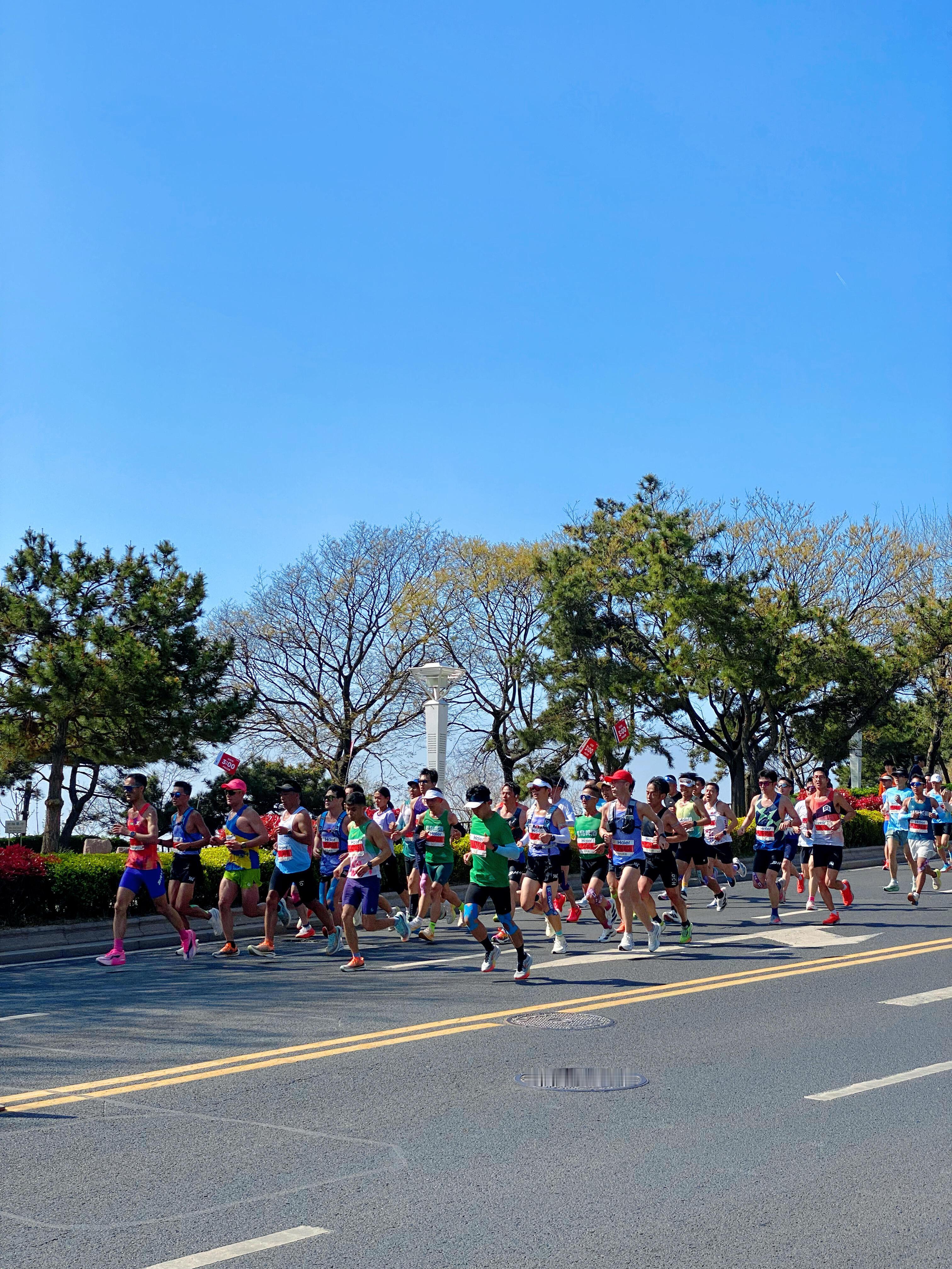 2026青岛马拉松中签率不足一成热度断层式上涨，2026青马报名人数暴涨40.8