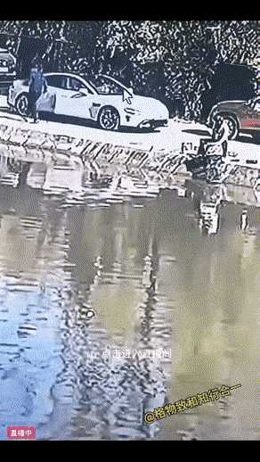 太尴尬了！车主本来想炫耀一把自动泊车，装一波逼。结果车子直接“投水自尽”，智能泊