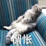 米礁爱玩科技