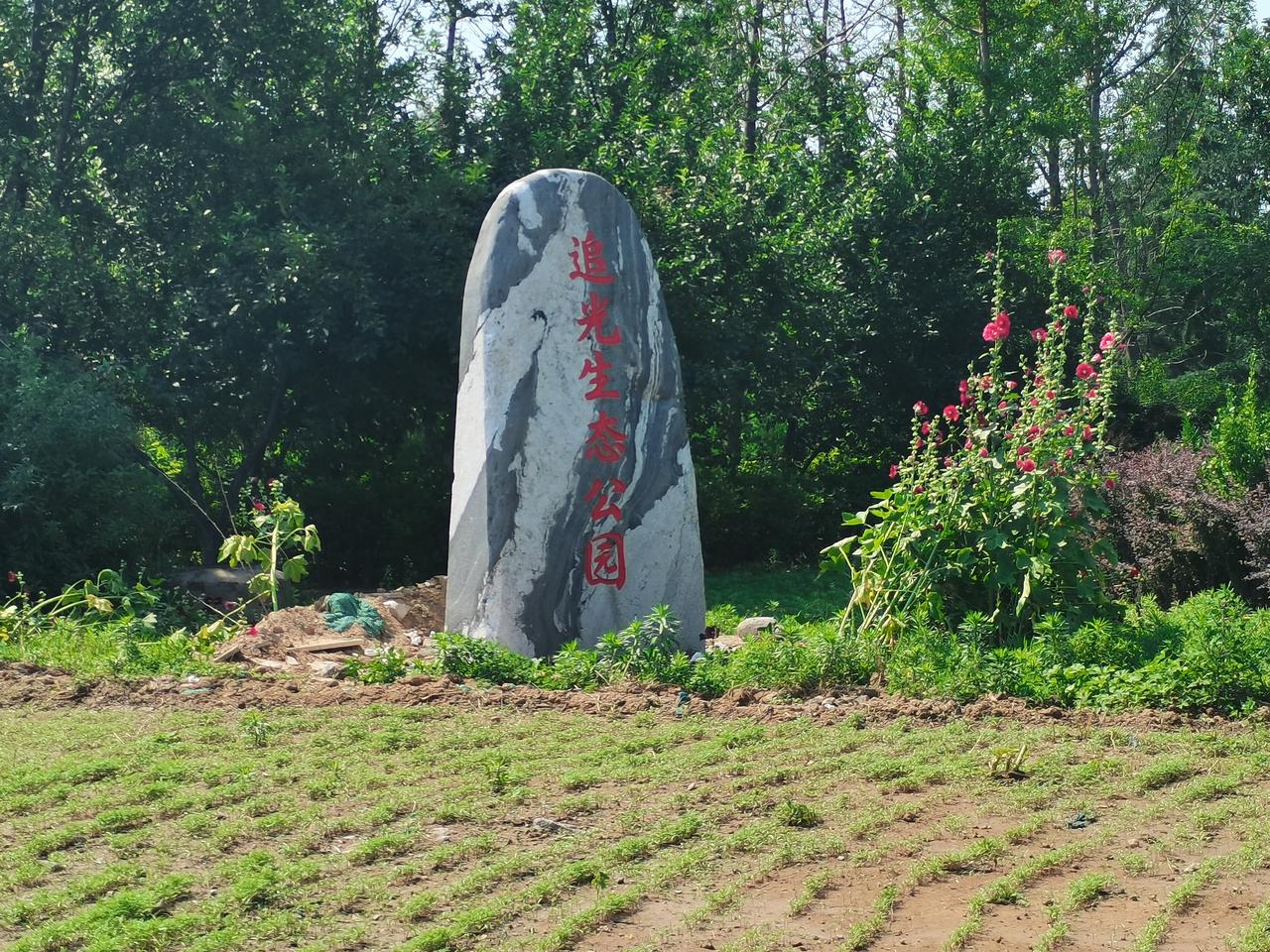 追光生态公园
邢台新开放一座大型公园
位于新华路和
祥和大街交叉口
原先这里是祥