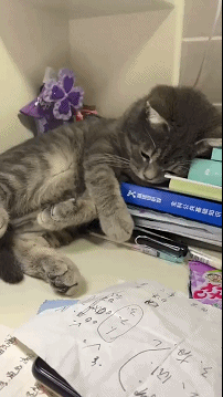 徜徉在知识的怀抱中
人啊，就要持续学习才行啊