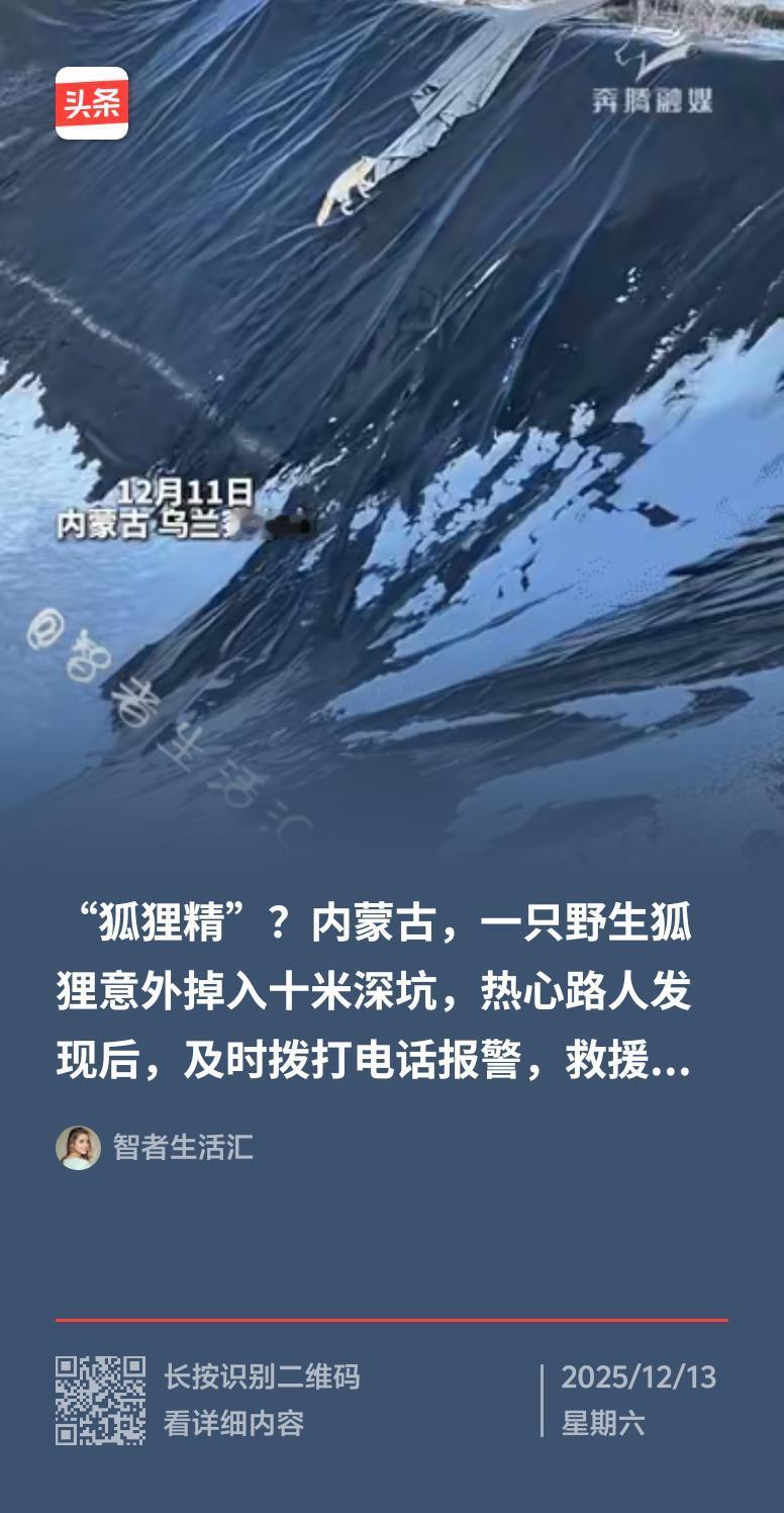 我还真遇到过有灵性的动物。之前听邻居王大爷讲，他家老黄狗救过他一命。去年冬天，王