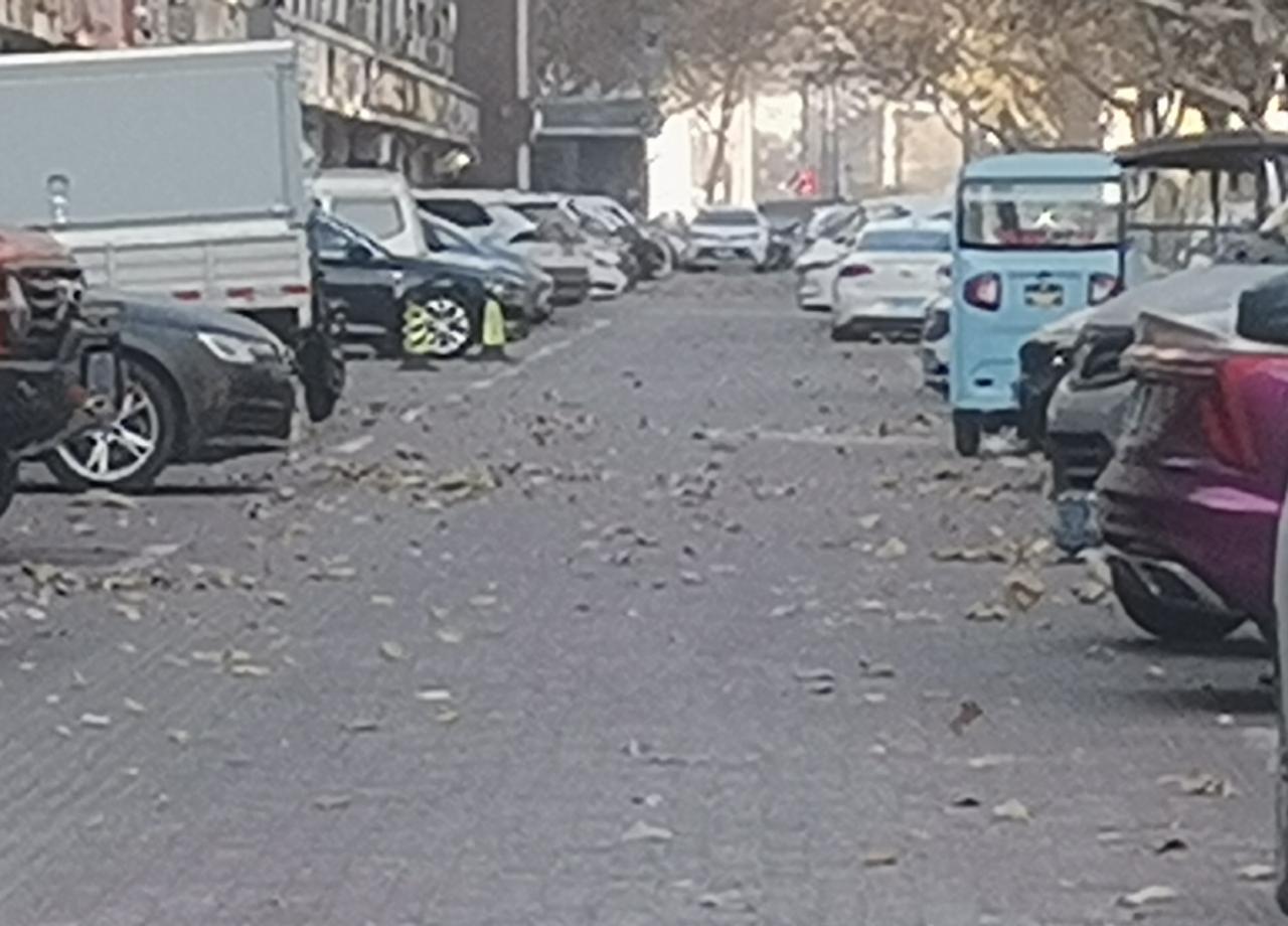 “低谷期最该做的事，不是抬头找光，而是低头修路。
”
哈佛刚测完：相信“我能长本