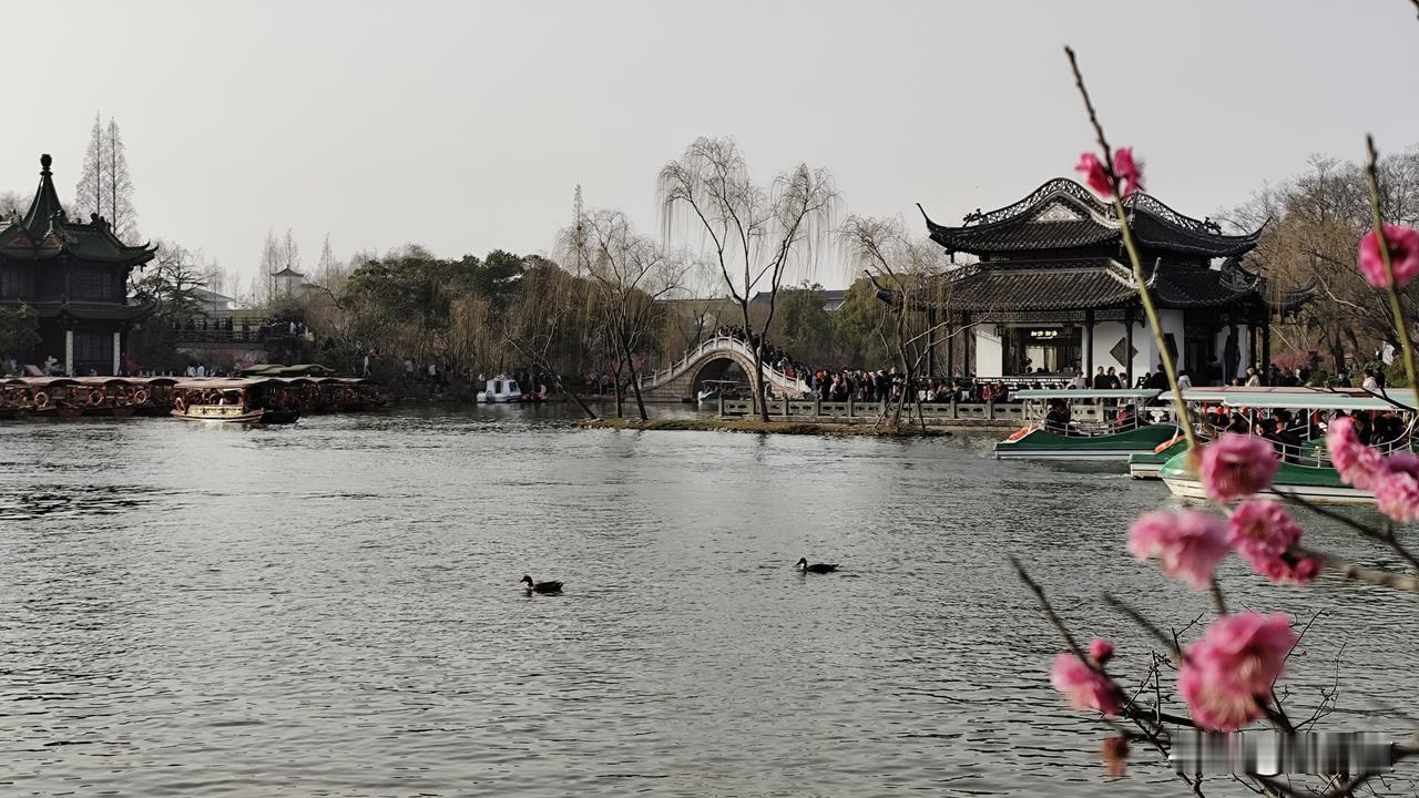 快来晒你相册中的春景吧春江水暖鸭先知