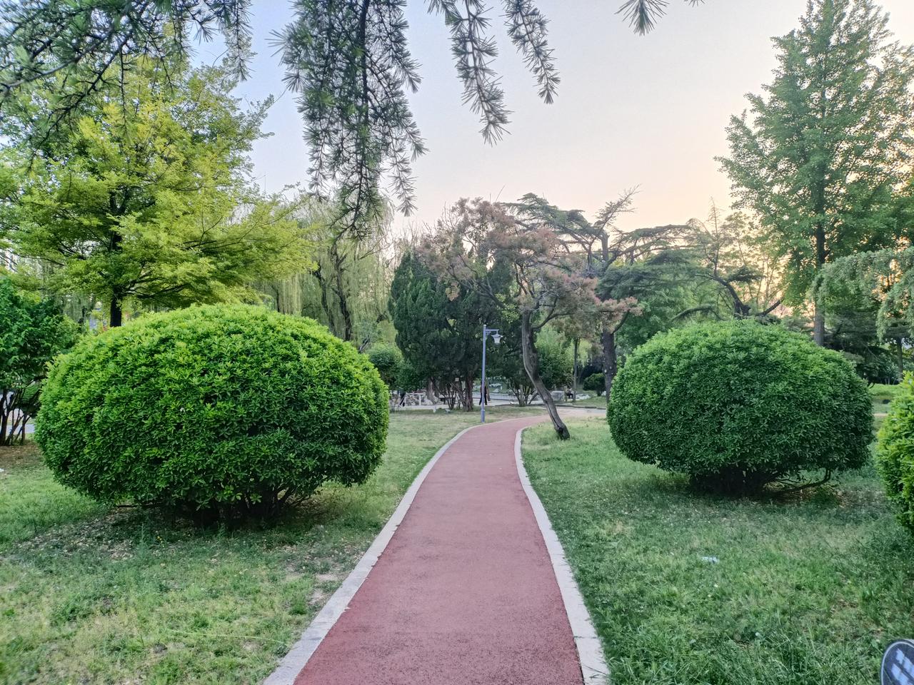 不管对错你先把拳练起来呀，
然后再调整调整，
谁生下来就会，一练就对，
慢慢地找