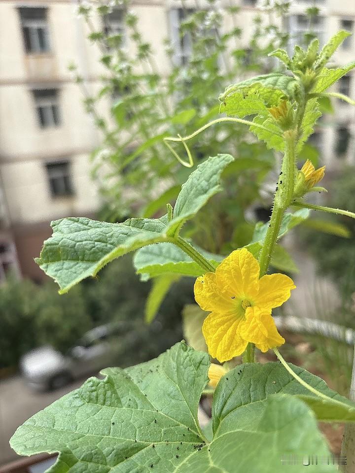 🍂秋实春花🌹