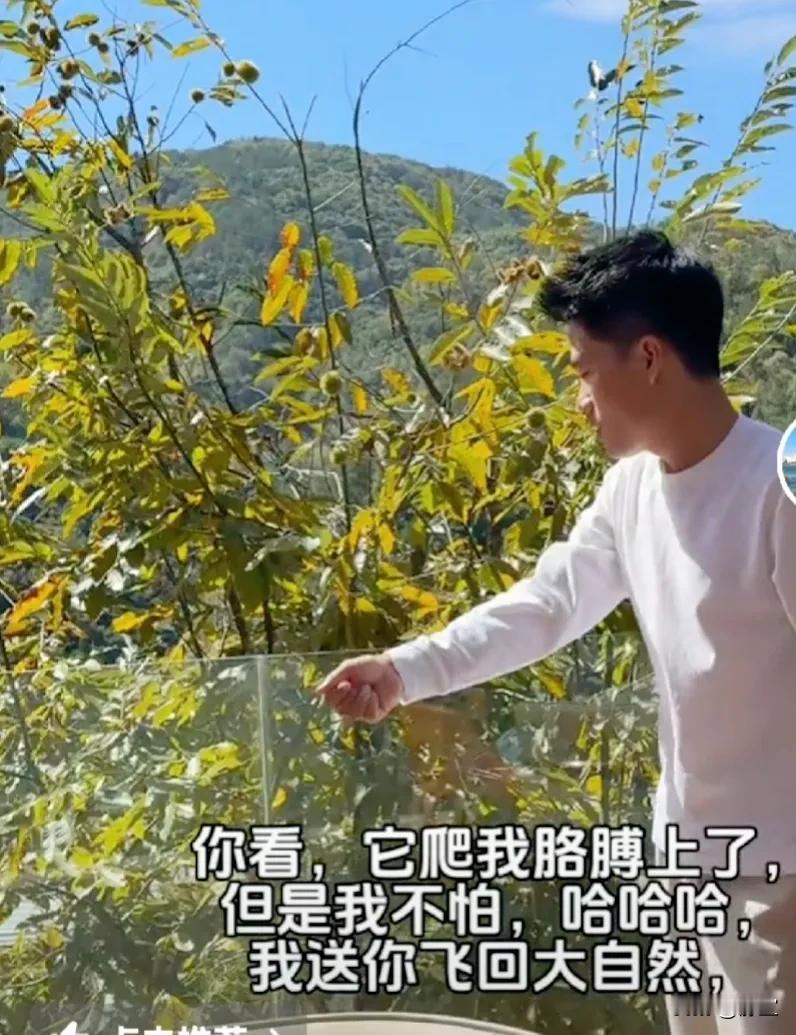 刚刚，董宇辉在老家发了玩蚂蚱的视频，玩的非常开心！

小蚂蚱附在他身上不愿意离开