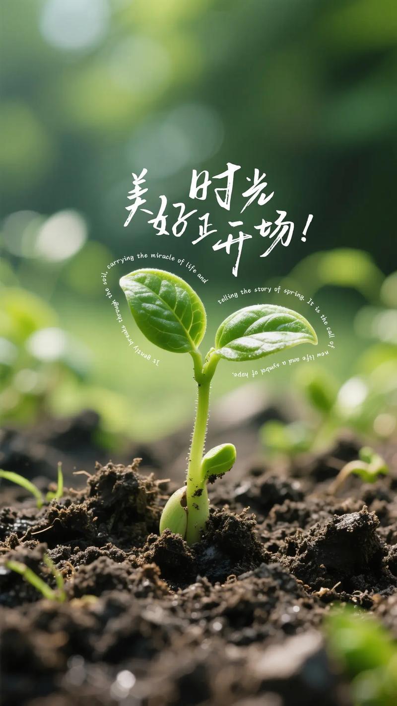 每日正能量语录
相信自己：无论遇到什么困难，只要相信自己，就有无限的可能。每一次