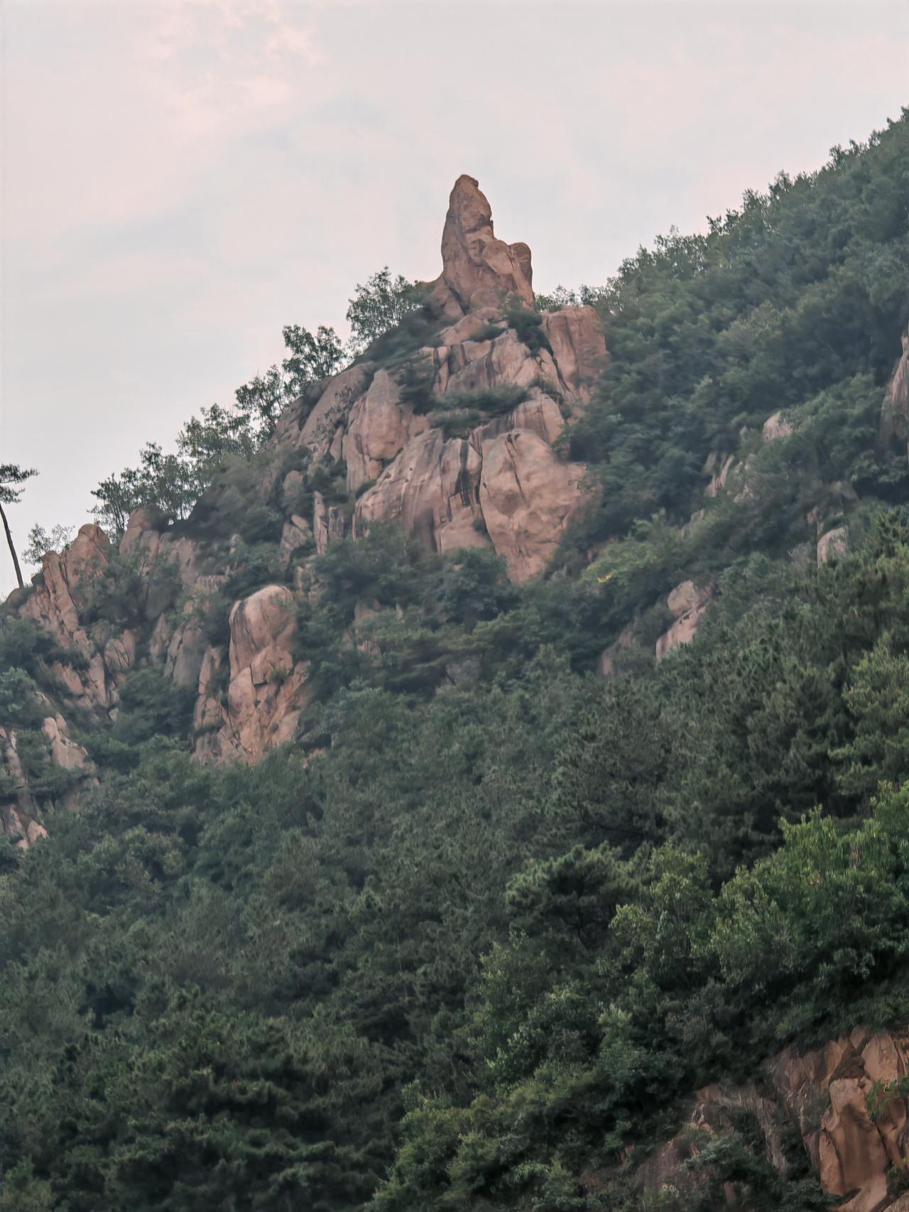 与痛风斗争的历程66
 
   周五的晨光格外明朗，室内温暖如春，今年的供暖非常