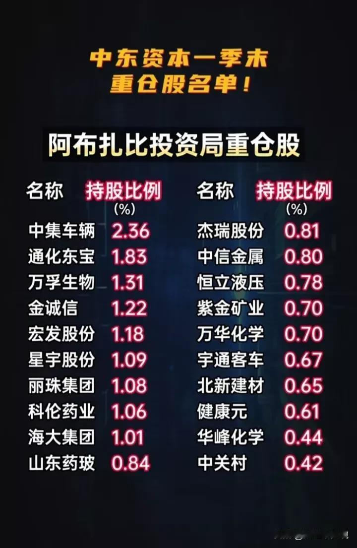 跟着中东土豪学投资，中东资本一季度重仓名单出炉！（自行决策，自负盈亏[笑哭]）
