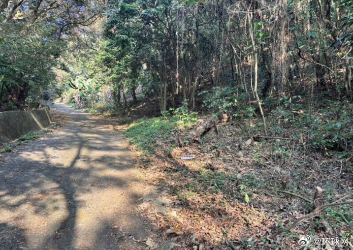 #台湾一男子遭虐杀并被弃尸#【台媒：台湾彰化县发生骇人命案，疑因毒品纠纷，一男子