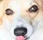 略略略 ​​​