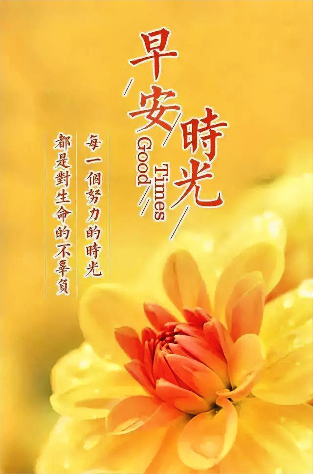 早安时光！每一朵努力绽放的花，都是对生命最好的告白，元气满满的一天开始啦。
每天