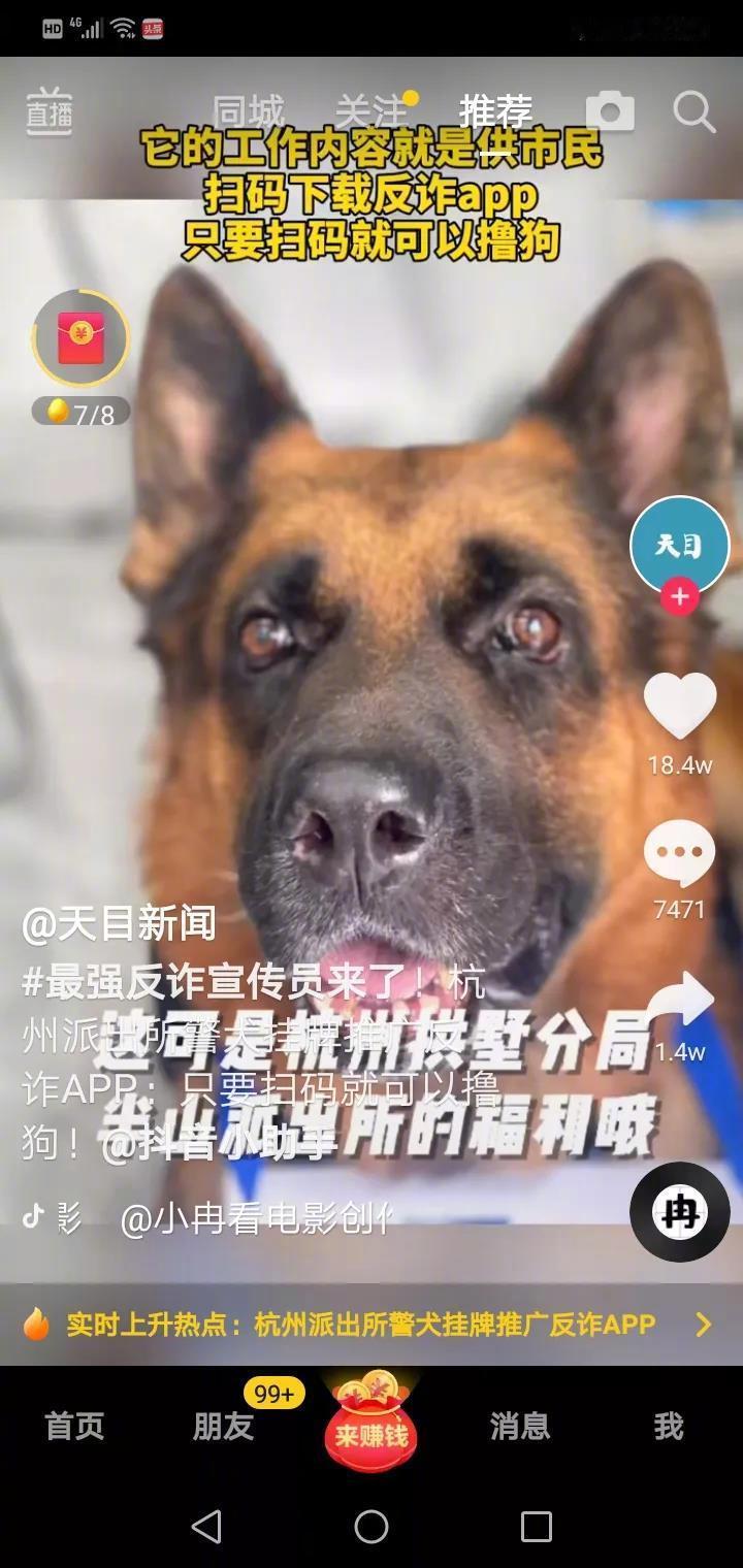 杭州一七岁的警犬担任了反诈宣传员，因为太受大家的喜爱，来的人都要撸几下，为了防止