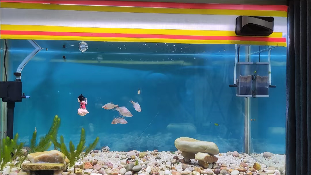 钱财的逻辑（1）