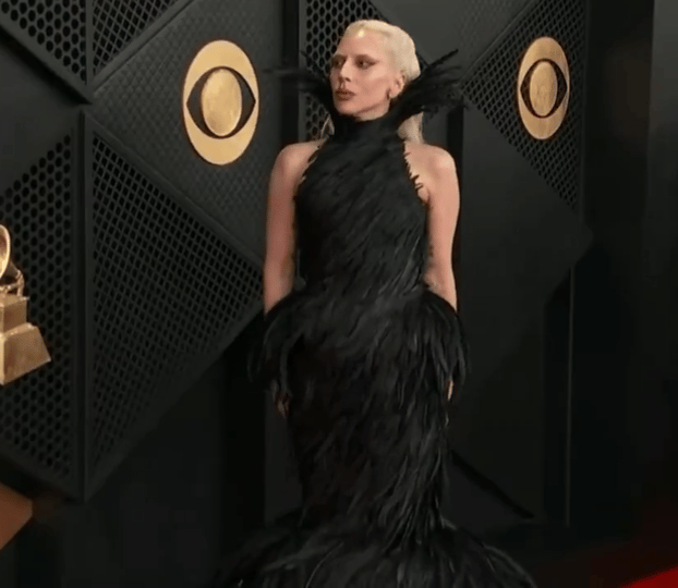 Lady Gaga 亮相 格莱美 红毯，一袭黑色羽毛裙，来自Matieres F