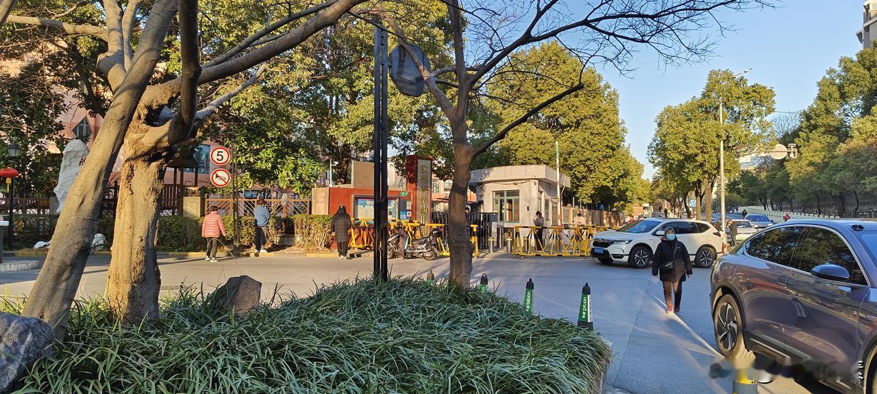 上海率先收储老破小，一线城市采取措施促进房地产止跌回稳
近期，上海发布消息，浦东