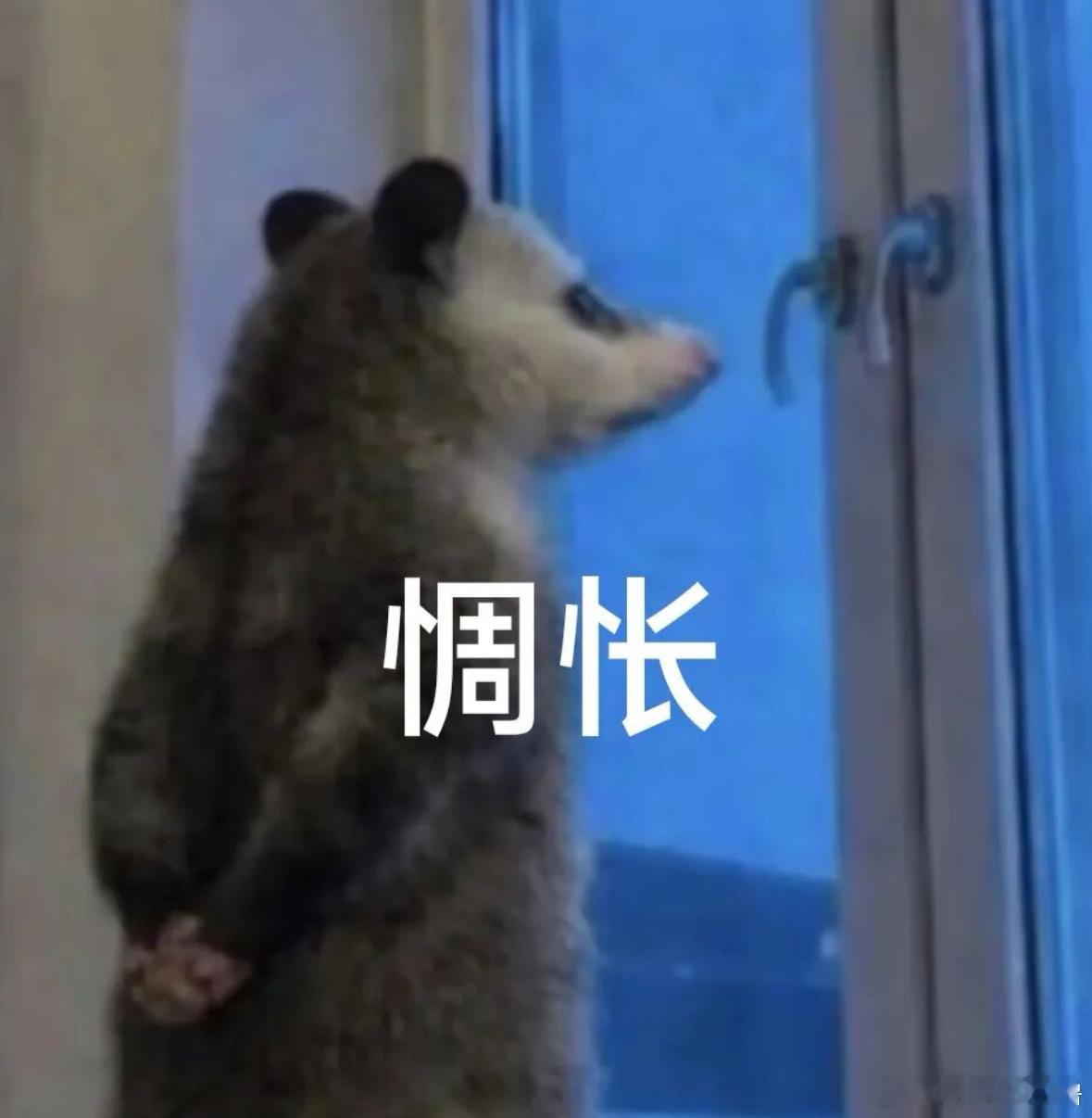 难受 退网一天…二开好吗…🥺  白鹿见面会抢票秒没  给点机会 秒没啊啊啊啊啊