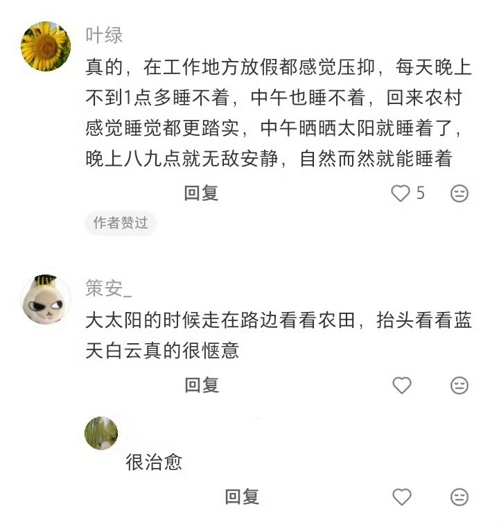 城市以外的人活得有多松弛乡下的钟表挂在枝头，风一吹就乱了指针。藤椅上午睡的人不必
