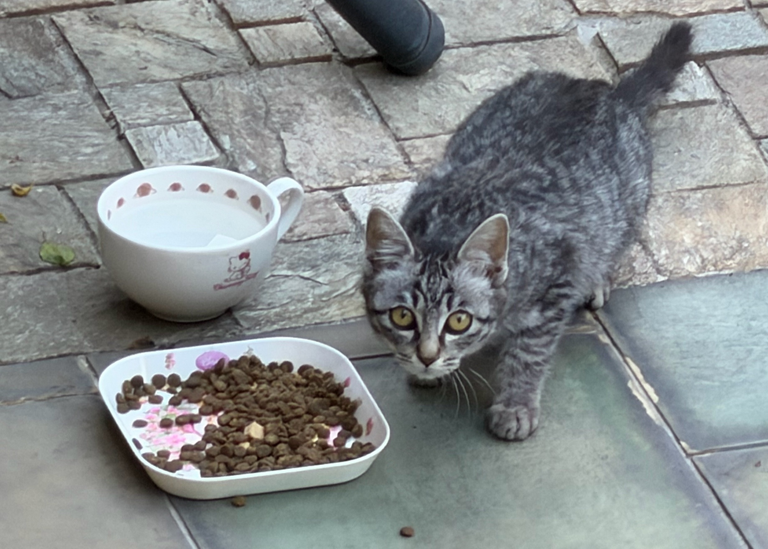 到饭点了，今晚大家桌上都有哪些硬菜？