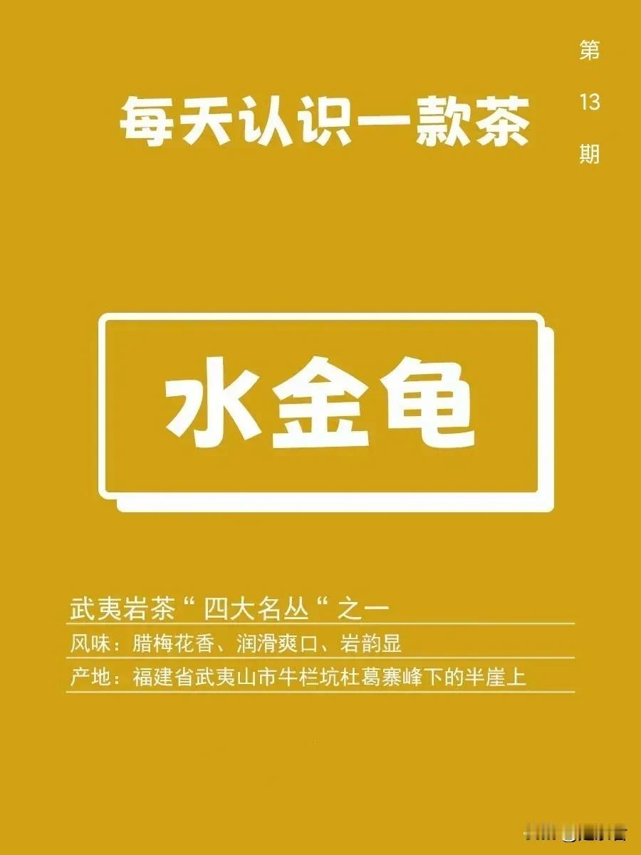 水金龟|每天认识一款茶13

水金龟茶与大红袍、铁罗汉、白鸡冠并称“四大名丛”