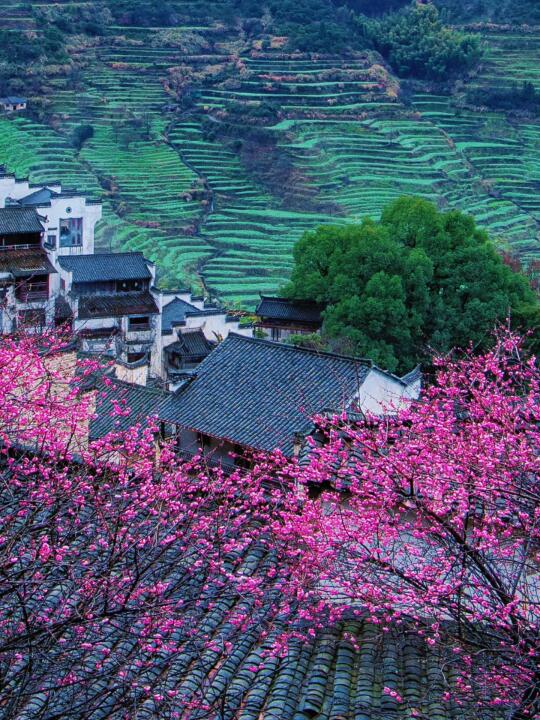 被国家地理评为最美的乡村，春天好绝‼️