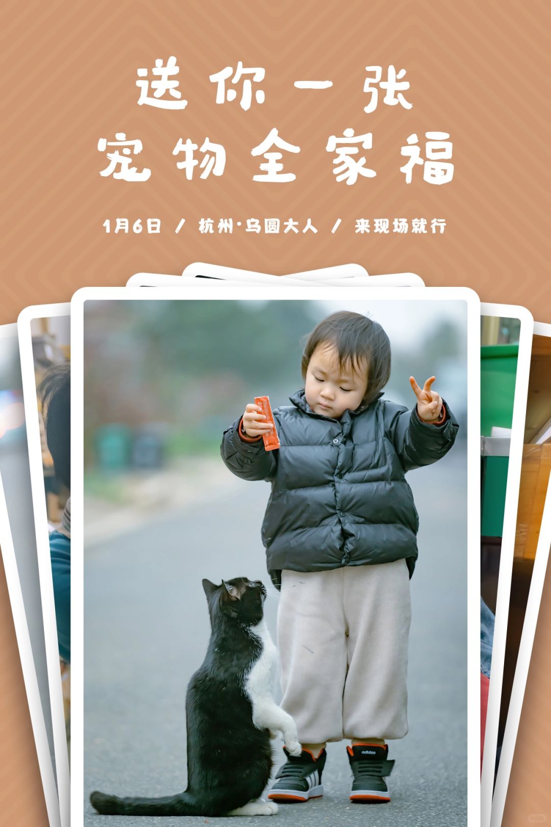 新年出摊，送你一张宠物全家福