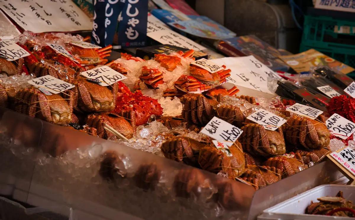 ·当初日本把核污水往海里倒，全球骂声一片，连海鲜都没人碰。可两年过去，不但日本海