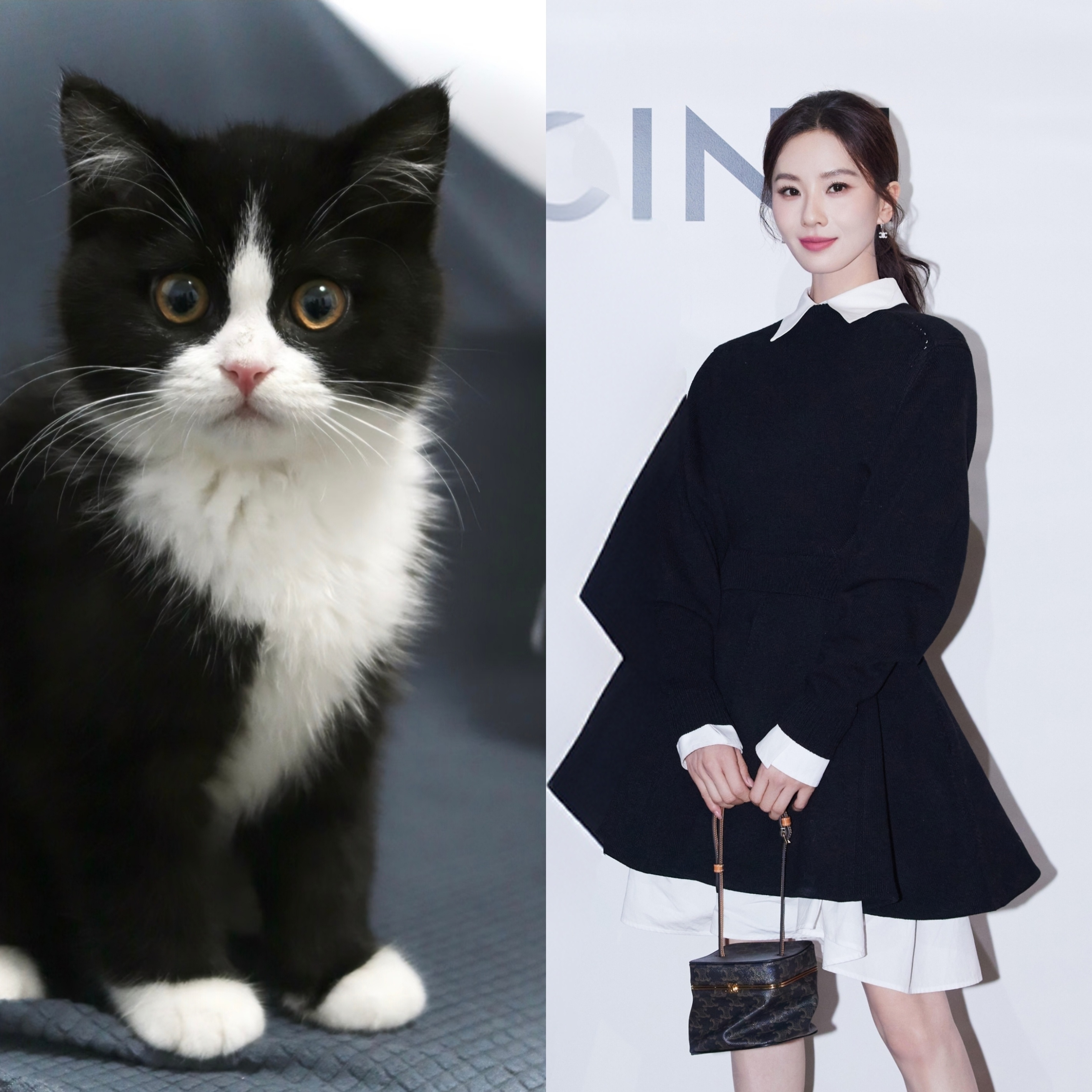 刘诗诗好像奶牛猫化形没藏住自己的小耳朵Celine logo增添了可爱趣味感 