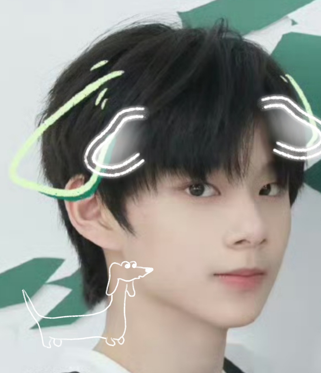 在狗塑的路上已经完全一去不复返 