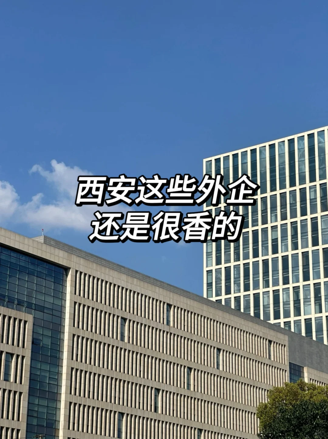 西安这些外企还是很香的