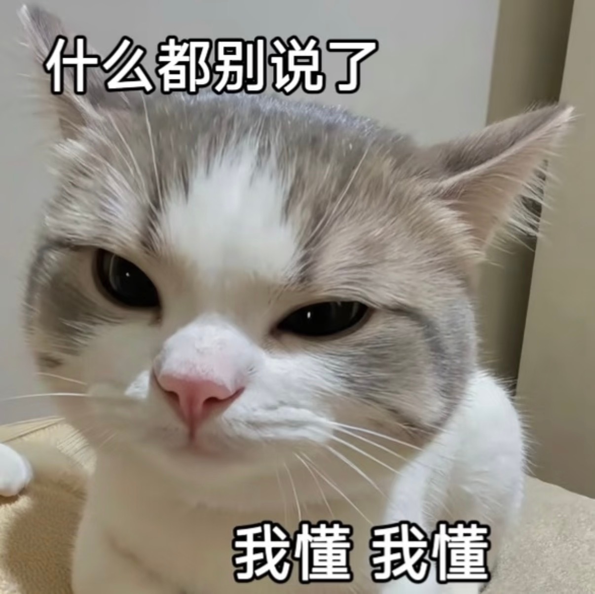 姐：没有白卡的点 ！ 懂？！小茶包：懂！懂！懂！ 