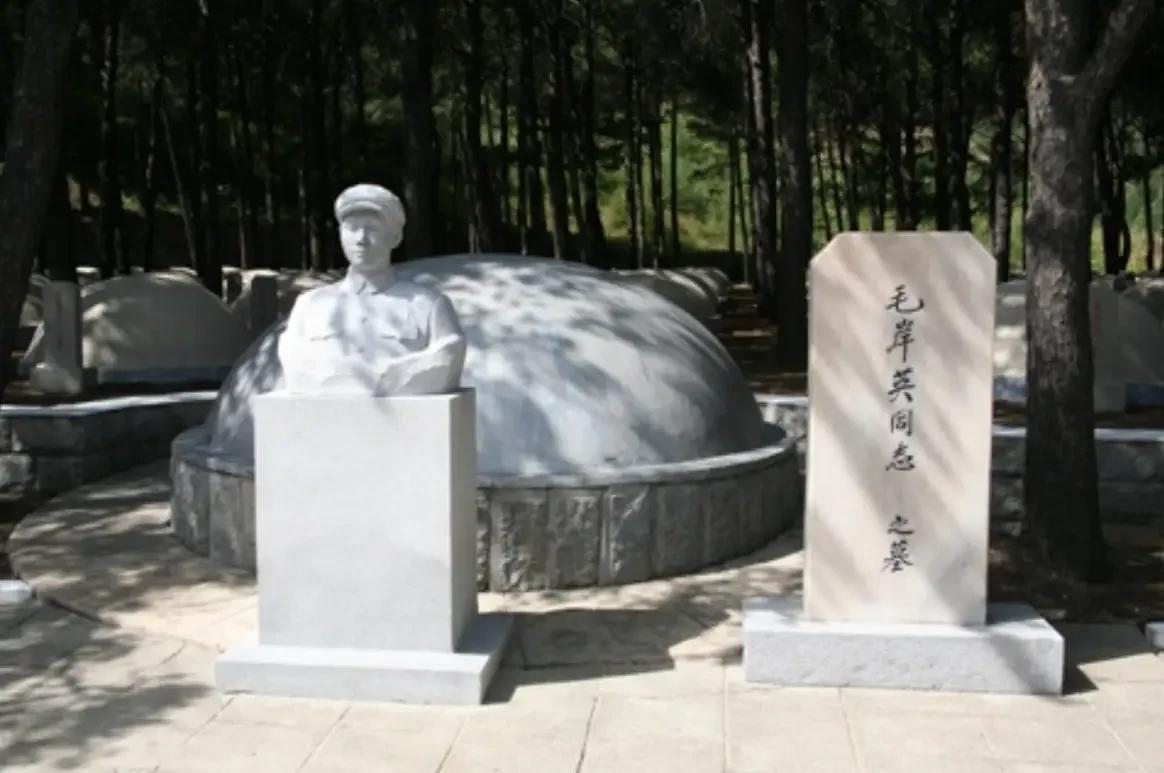 1955年，志愿军来给毛岸英迁墓，她们刚准备挖。突然，一朝鲜妇女带下孙女跑了过来