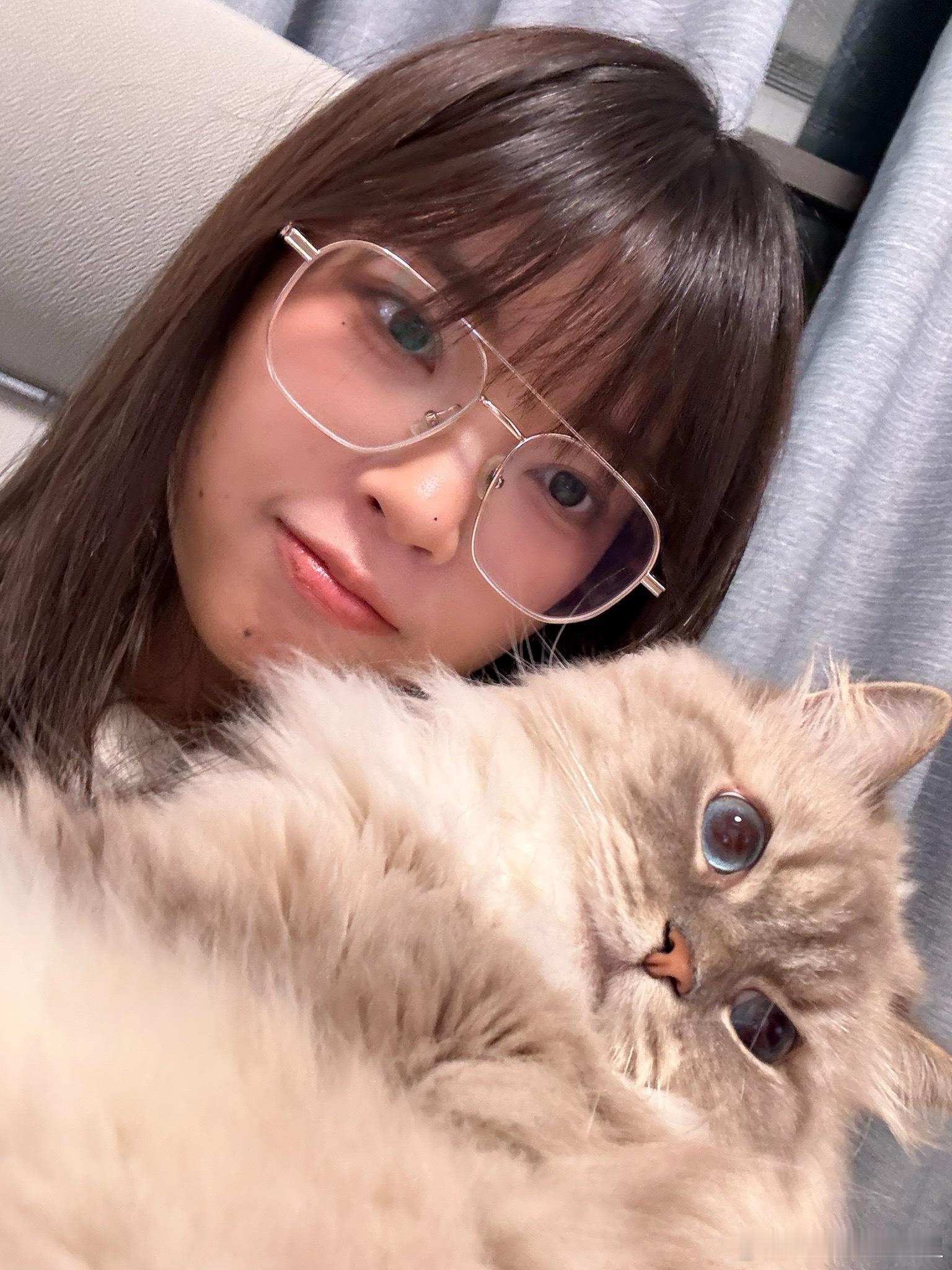国际猫咪日 看看你们的小猫🐈 ​​​