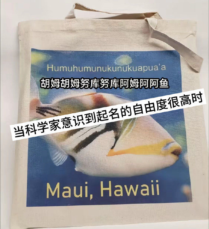 当科学家意识到起名自由度很高时 夏天就要嗨起来+夏日游园会