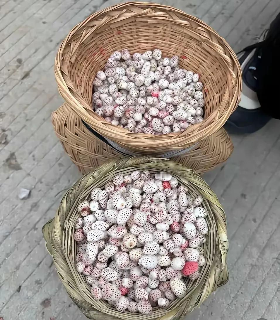这是网友去贵州旅游，在路边卖的一种不知道是水果还是蔬菜，从路边看到不敢买，不知道