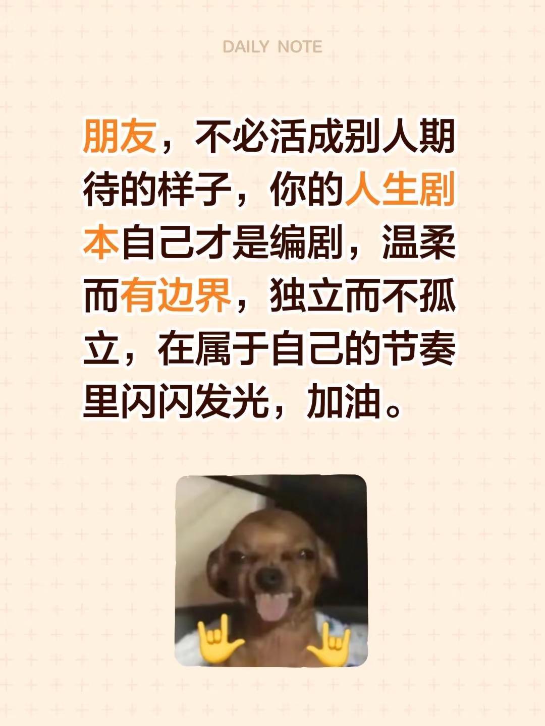 蓝光心里话。我评论了@幼儿园的可爱担当🧏🏻‍♀️ 的作品：朋友，不必活成别人