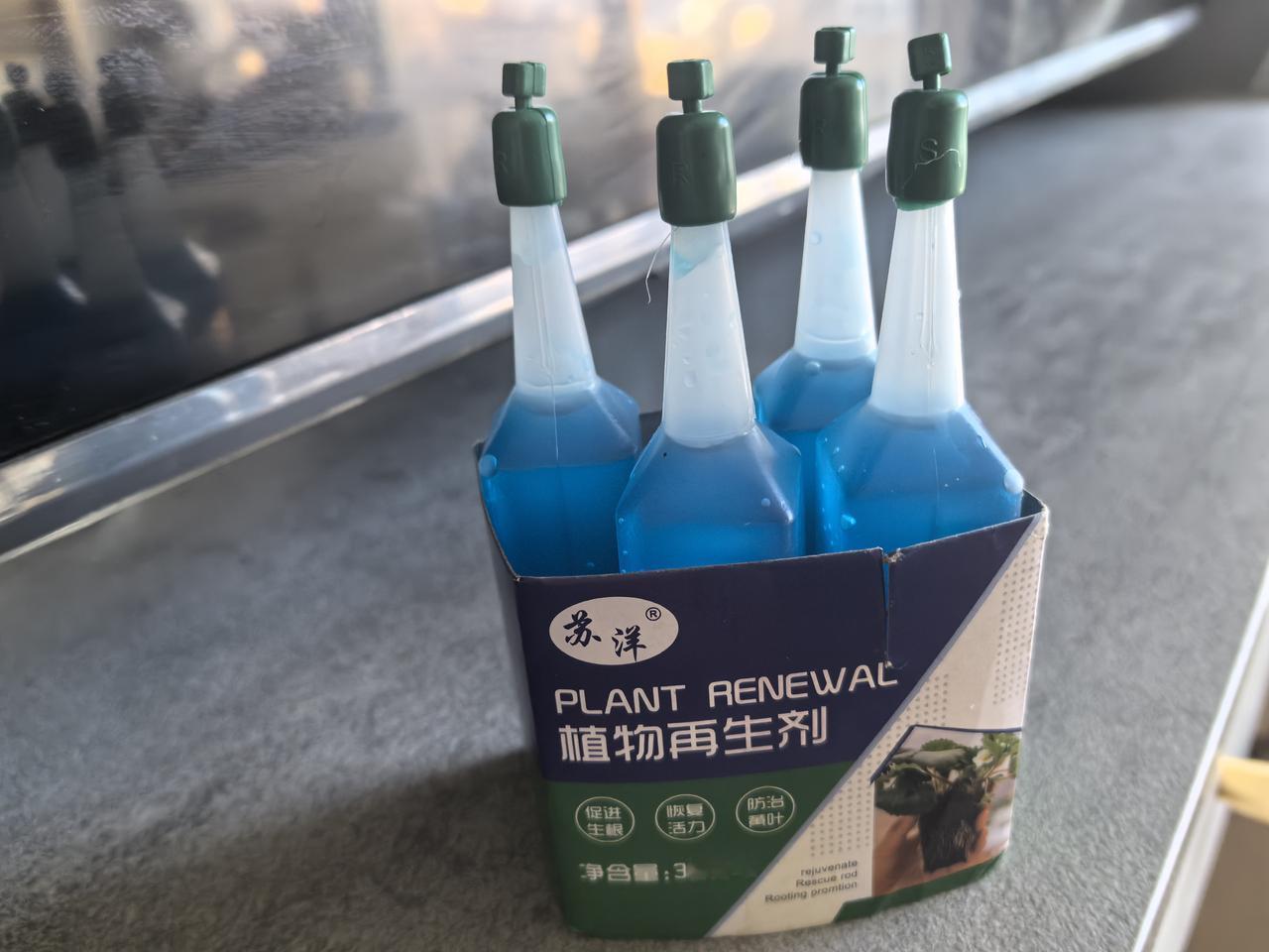 拯救发财树
      去年的今天路过花店买了棵发财树，主要是老板一句话，这树你