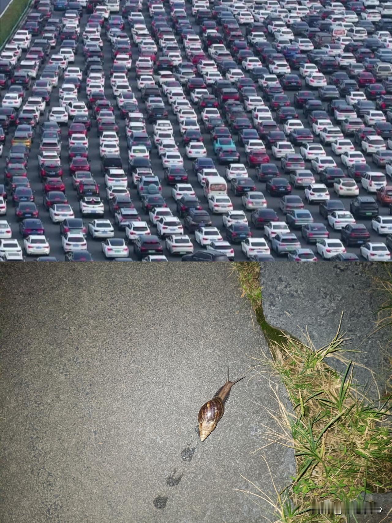 比如和蜗牛赛跑？