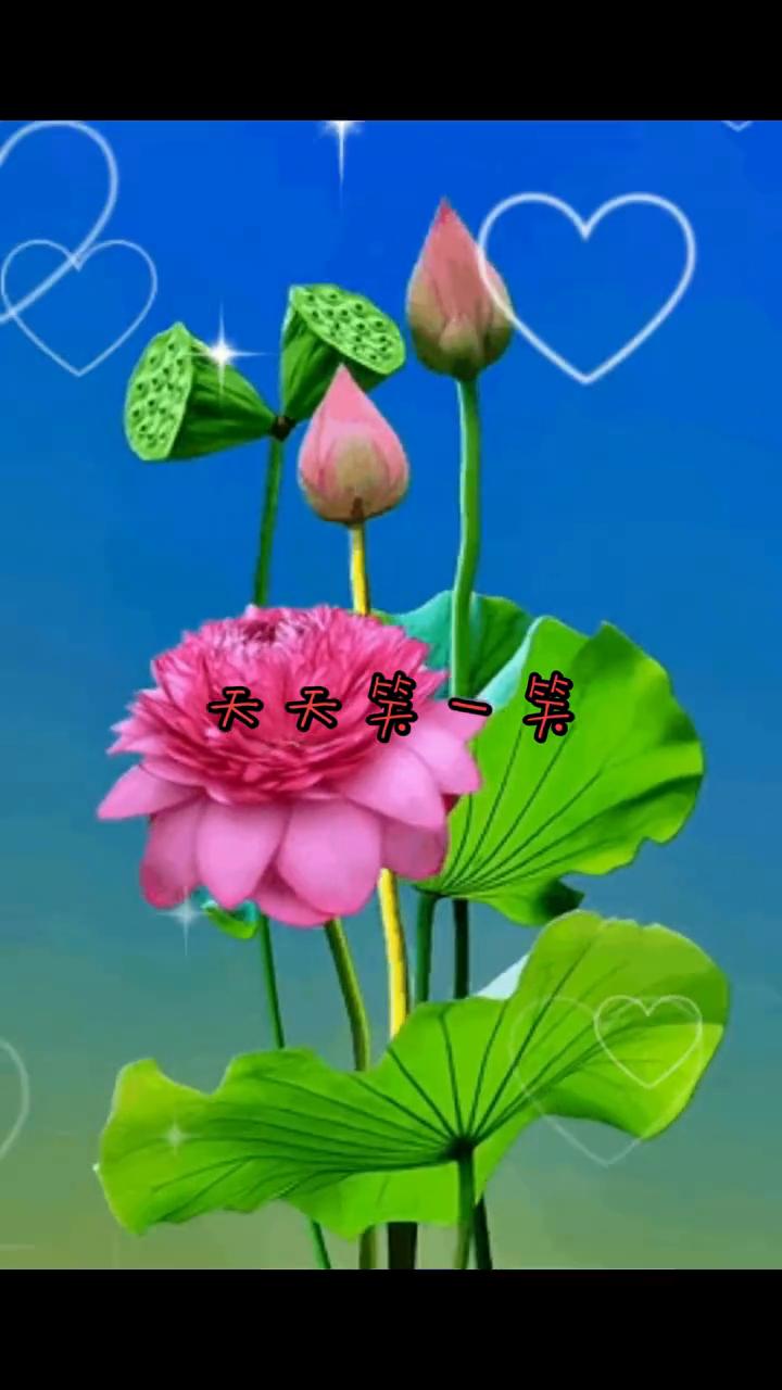 天天第一笑。