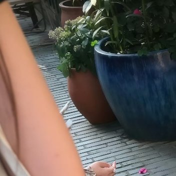 其实，有些人不是变了，而是他开始信任你，愿意将他不好的另一面给你看了而已 