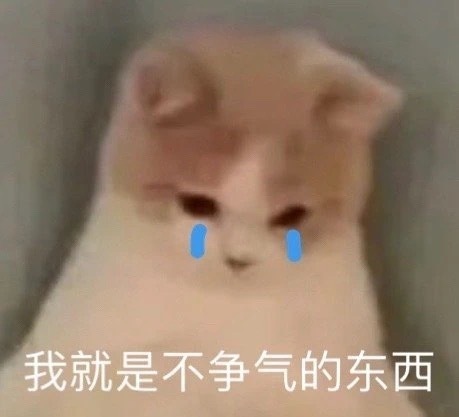 老婆们，有没有好用的加速器推荐一下给我吧... ​​​