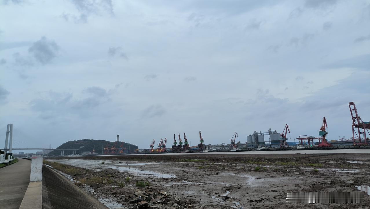 台风巴威过后的宁波街道两侧！吹落的树枝树叶！
甬江入海口的滩涂，又恢复了台风前的
