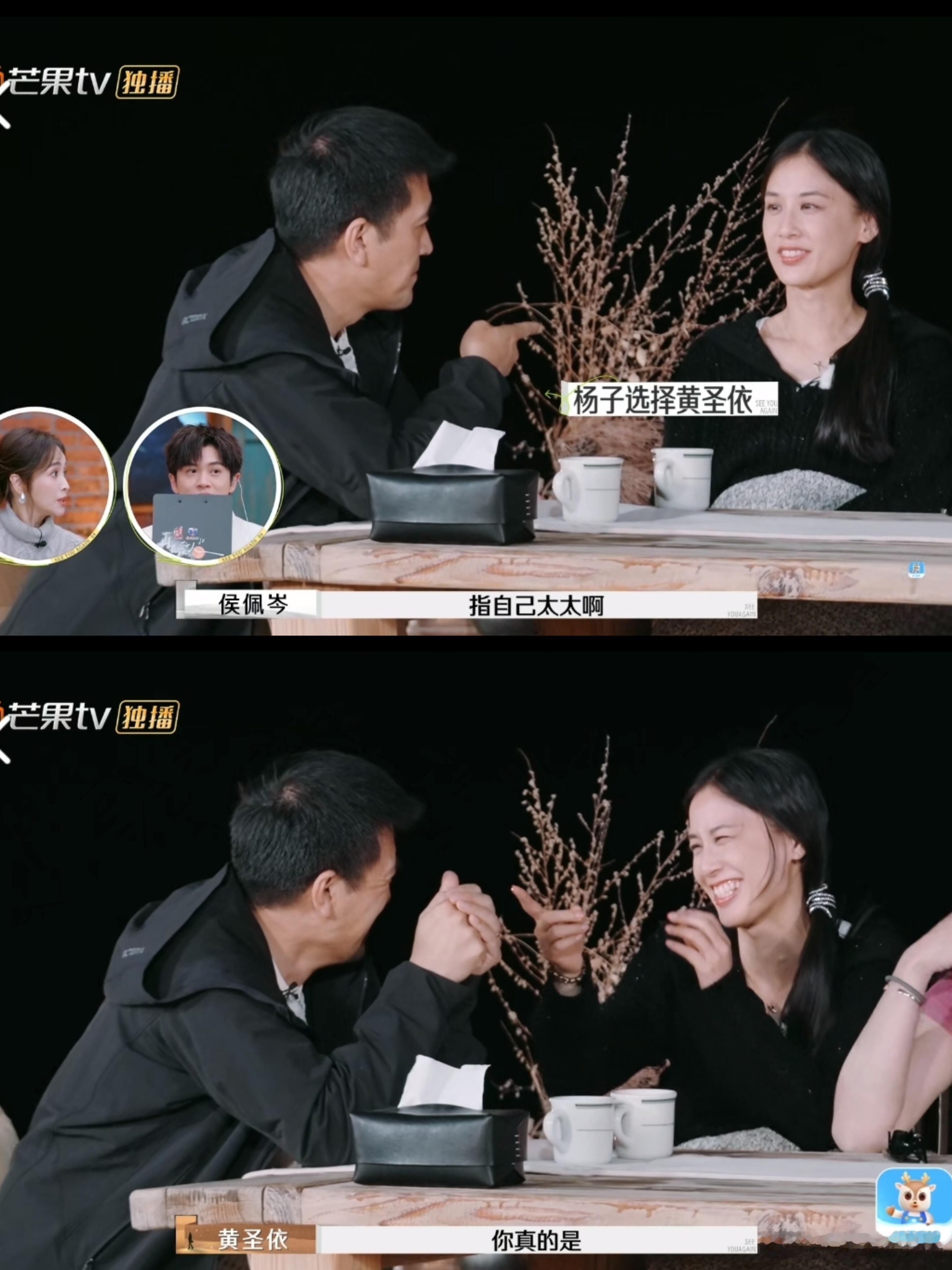 杨子大哥承认杨子黄圣依在演  黄圣依家世   就这默契和眼神 这对铁定离不了节目