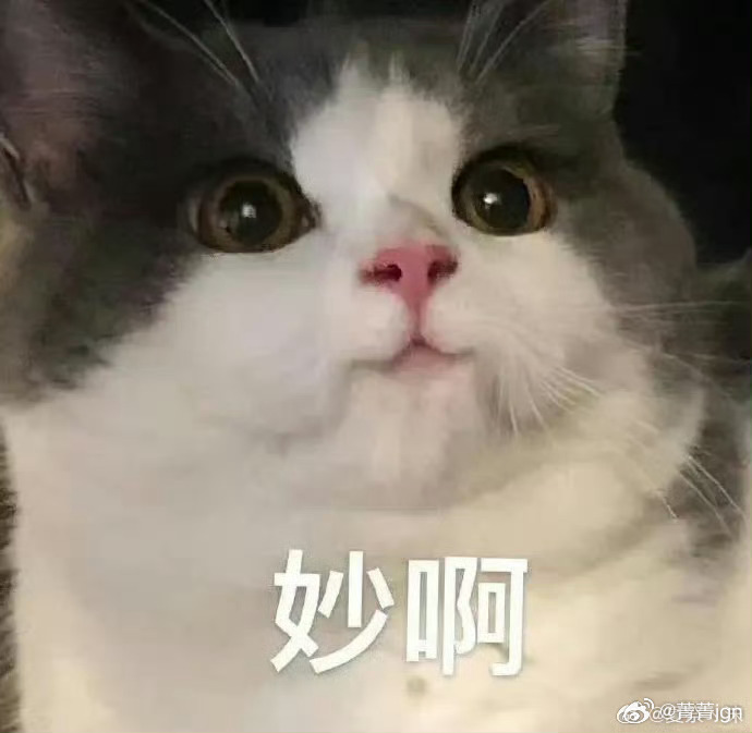 现在的毕业典礼跟签售会似的当代大学生主打自由松弛感毕业，不被传统框架束缚，花式学