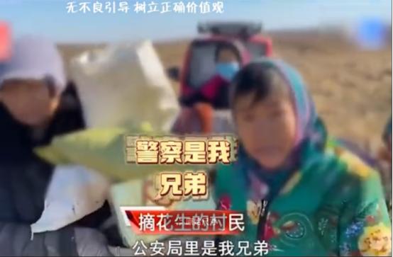 河北廊坊，一男子种植的30亩花生被村民一抢而空，造成了将近9万元的损失，没想到盗