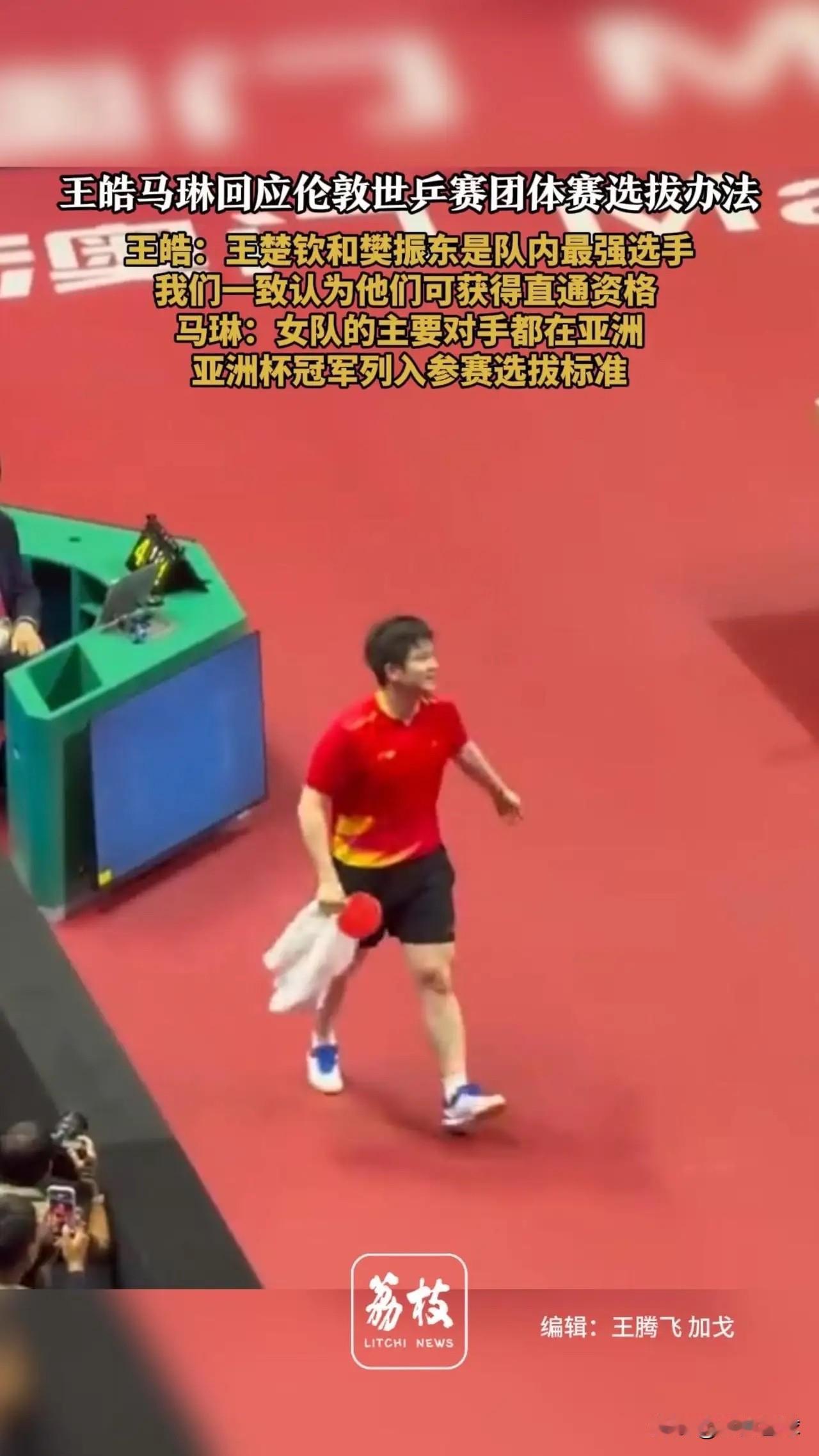 王皓终于“说漏嘴”：樊振东是国乒最强！

王皓接受采访时说，樊振东和王楚钦是目前