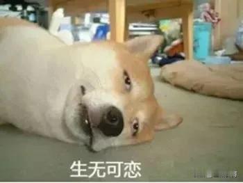 人总会要死的，穷也会死，富也会死，迟早都会死。六十岁是死，一百二十岁也是死。做官