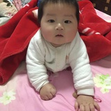 豆苓热玩体育